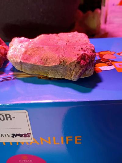 paliolithic native American stone axe heads - Thumbnail 4