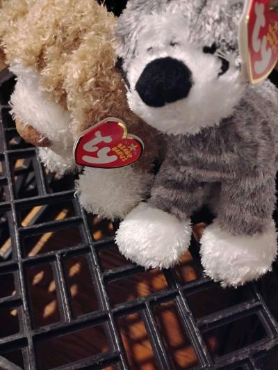 ty beanie bears - Dayton, Ohio