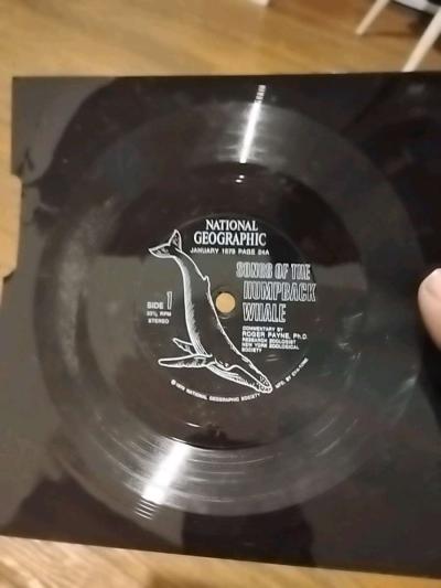 national geographic vintage  songs of the humpback whale - Dayton, Ohio