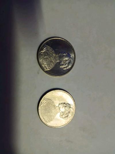 2023 P coin set is a valuable coin set - Thumbnail 4