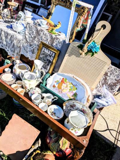 packrats clean out - Thumbnail 2