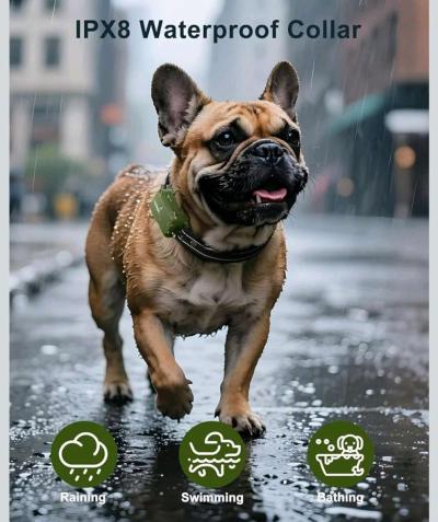 Collar de entrenamiento para perros - Thumbnail 4