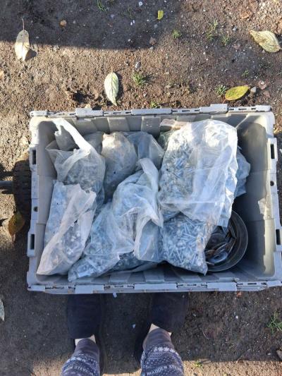 self tapping  screws and nails and washers - Thumbnail 6