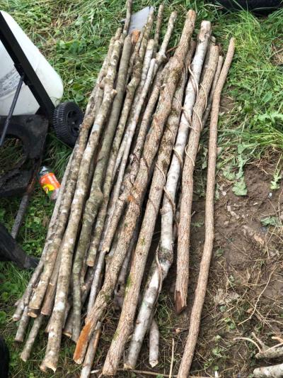 Twisted sticks - Thumbnail 3