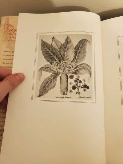The Physick Book of Deliverance Dane by Katherine Howe - Thumbnail 4