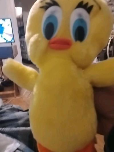 tweety collectible - Dayton, Ohio