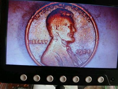 Lincoln wheat pennies 1924 1925 1926 1929 - Thumbnail 5