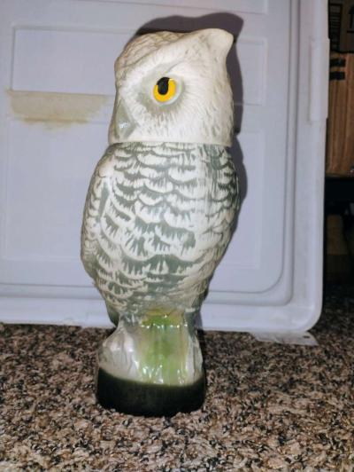 1979  collectible Jim Beam owl decanter empty  flawless