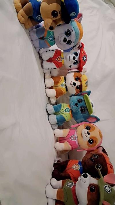 PAW PATROL TY - Maricopa, Arizona