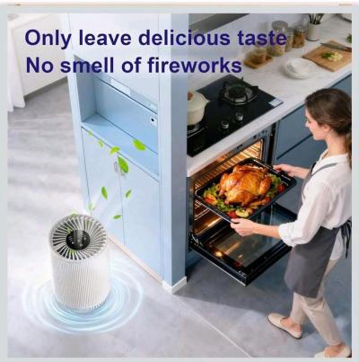 purificador de aire - Thumbnail 4