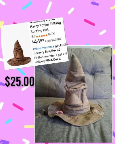 Harry Potter  Hat - Kissimmee, Florida