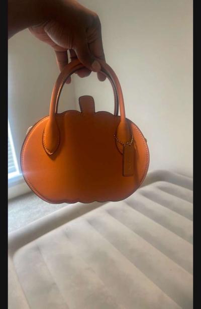 purses - Thumbnail 6