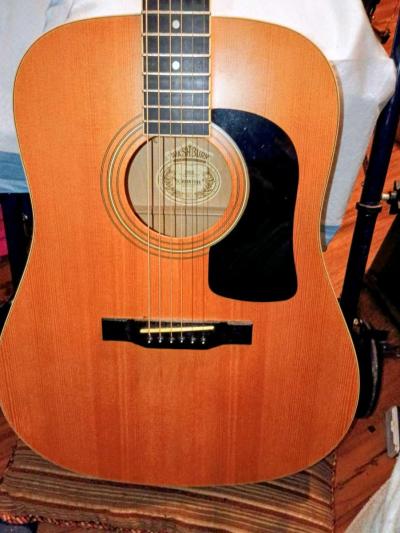 classic Washburn D series guitar - Thumbnail 2