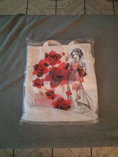 Disney Princess Tote Book Bag 12 5 Inch - North Hollywood, California