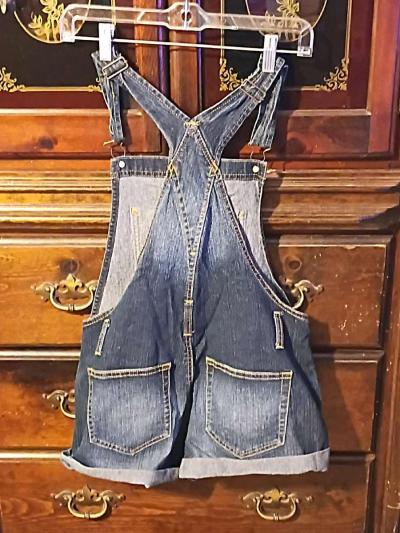 No Boundaries overall shorts - Thumbnail 2