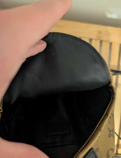 Louis Vuitton Palm springs bag - Thumbnail 3