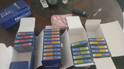 nexgard spectral para pulgas y garrapatas - Thumbnail 2