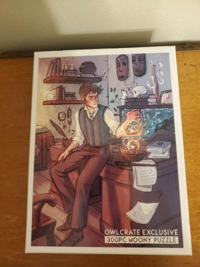 Bookish Owlcrate Exclusive Puzzle - Thumbnail 1