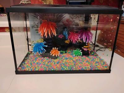 aquarium kit - Thumbnail 1