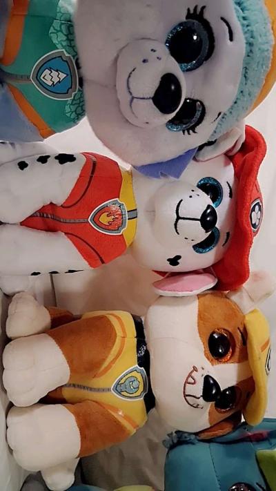 PAW PATROL TY - Thumbnail 5