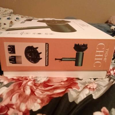 Tyche Chic Hair Dryer - Thumbnail 2