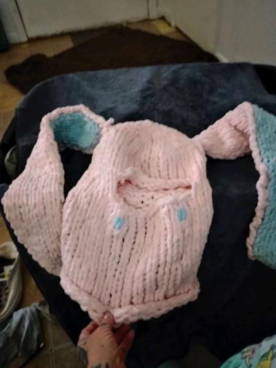 Bunny hoodie - Clifton, Texas