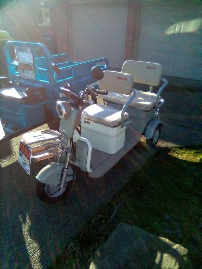 sdlanch irgc4o electric trike scooter