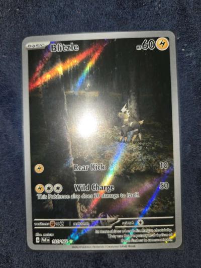 blitzle - Yelm, Washington