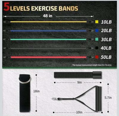 Resistance Bands for Home Workouts  Exercises - Thumbnail 4