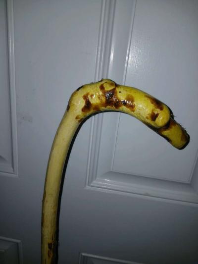 hazelnut walking stick - Thumbnail 4