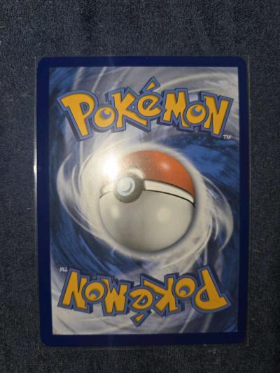 palafin 200 - Thumbnail 2