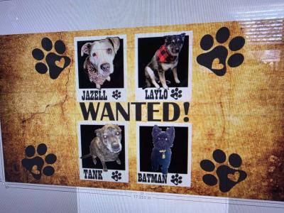 customize shirts cups - Thumbnail 6