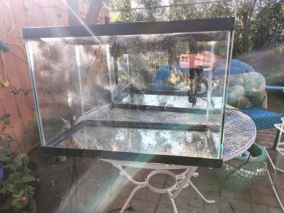 20 gallon tank - Thumbnail 3