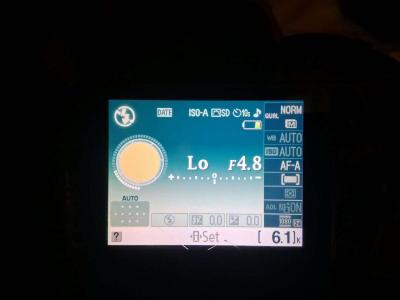 The Nikon D3100 - Thumbnail 3