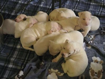 Last 2026 Babies - Thumbnail 1