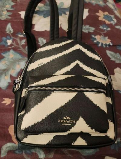 Mini Coach backpack