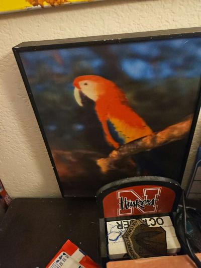 Tucson Arizona - Thumbnail 2