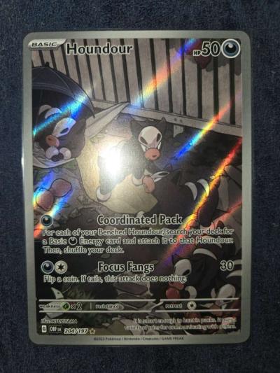 houndour - Yelm, Washington