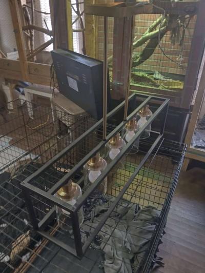 hanging light fixture - Dallas, Texas