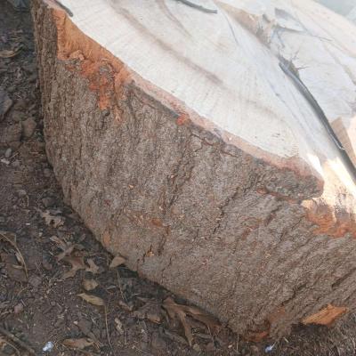 stereo elite  boss flatscreen