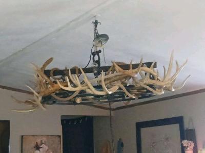 Deer antler chandelier ox yoke - Thumbnail 2
