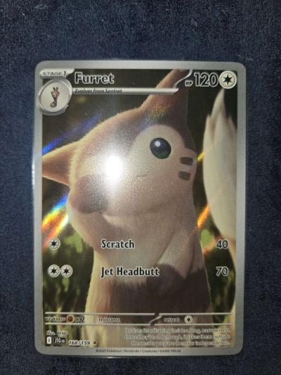 furret - Yelm, Washington