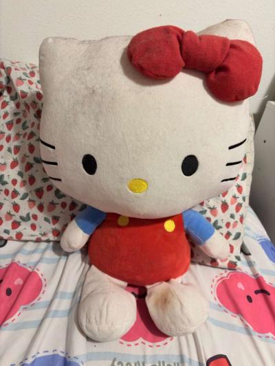 Sanrio Plushies - Thumbnail 3