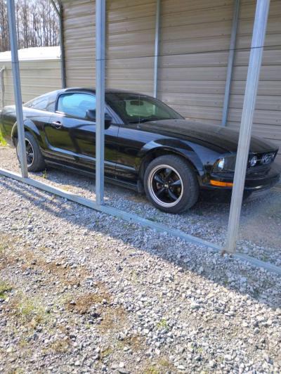 2008 Ford mustang - Thumbnail 3