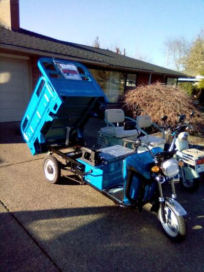 iret13 electric trike truck scooter - Thumbnail 2
