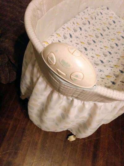 Bassett - Thumbnail 3