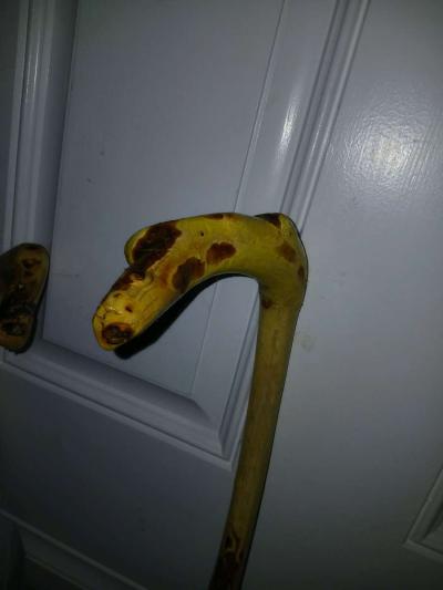 hazelnut walking stick - Thumbnail 3