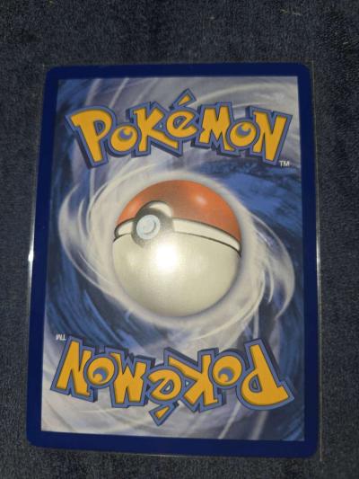 pidgey - Thumbnail 2