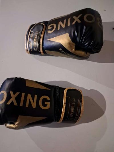 boxing bag and gloves - Thumbnail 4