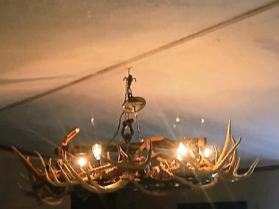 Deer antler chandelier ox yoke - Thumbnail 3